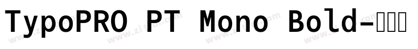 TypoPRO PT Mono Bold字体转换